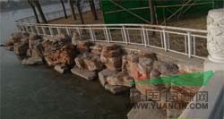 天津动物园驳岸工程完工